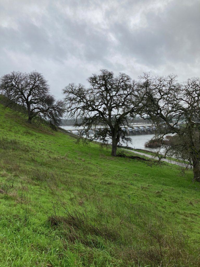 A rainy trail run on a cold January day. 