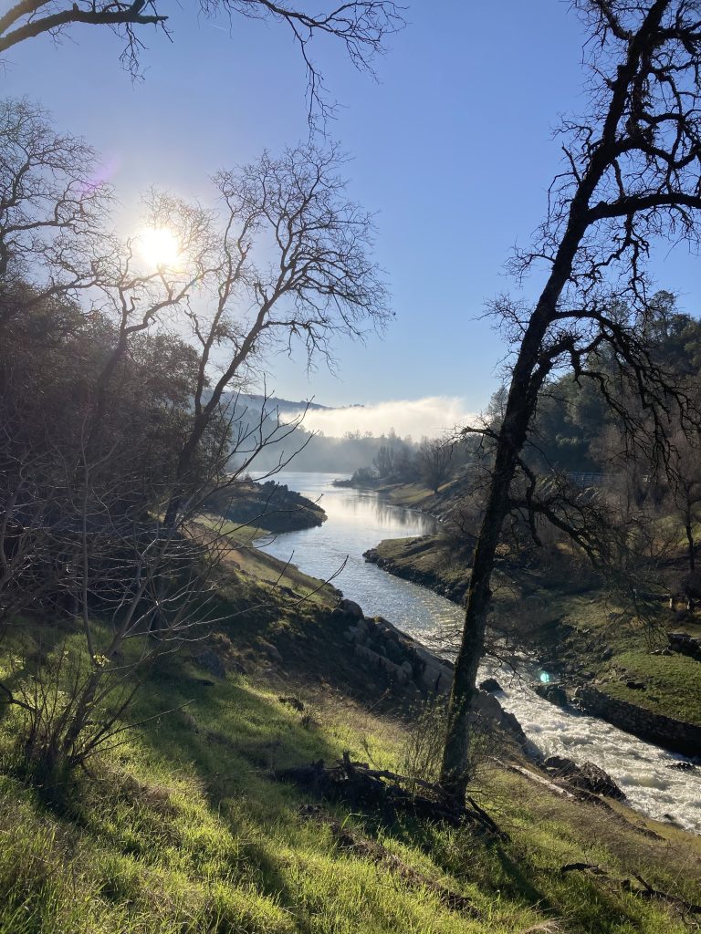 Trail near river in the morning